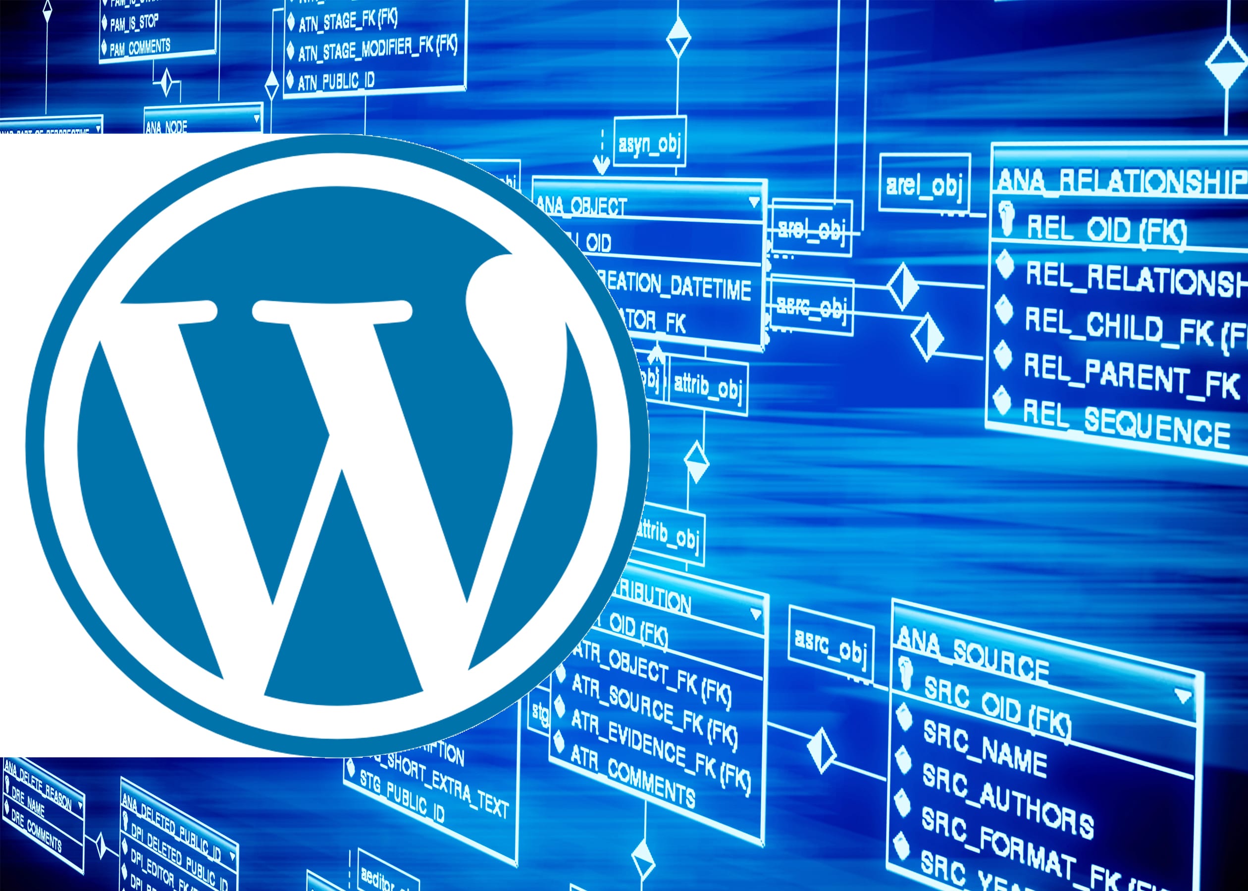 Un database esterno a WordPress